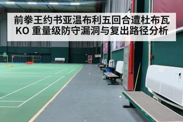 前拳王约书亚温布利五回合遭杜布瓦KO 重量级防守漏洞与复出路径分析